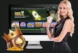 bigwin auto